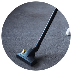 Carpet Cleaning Service Icon