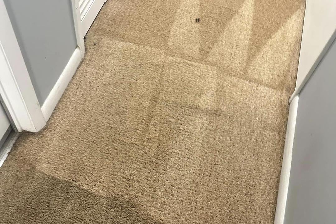 %Inlet Carpet Care%