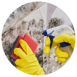 Mattress Cleaning Service Icon