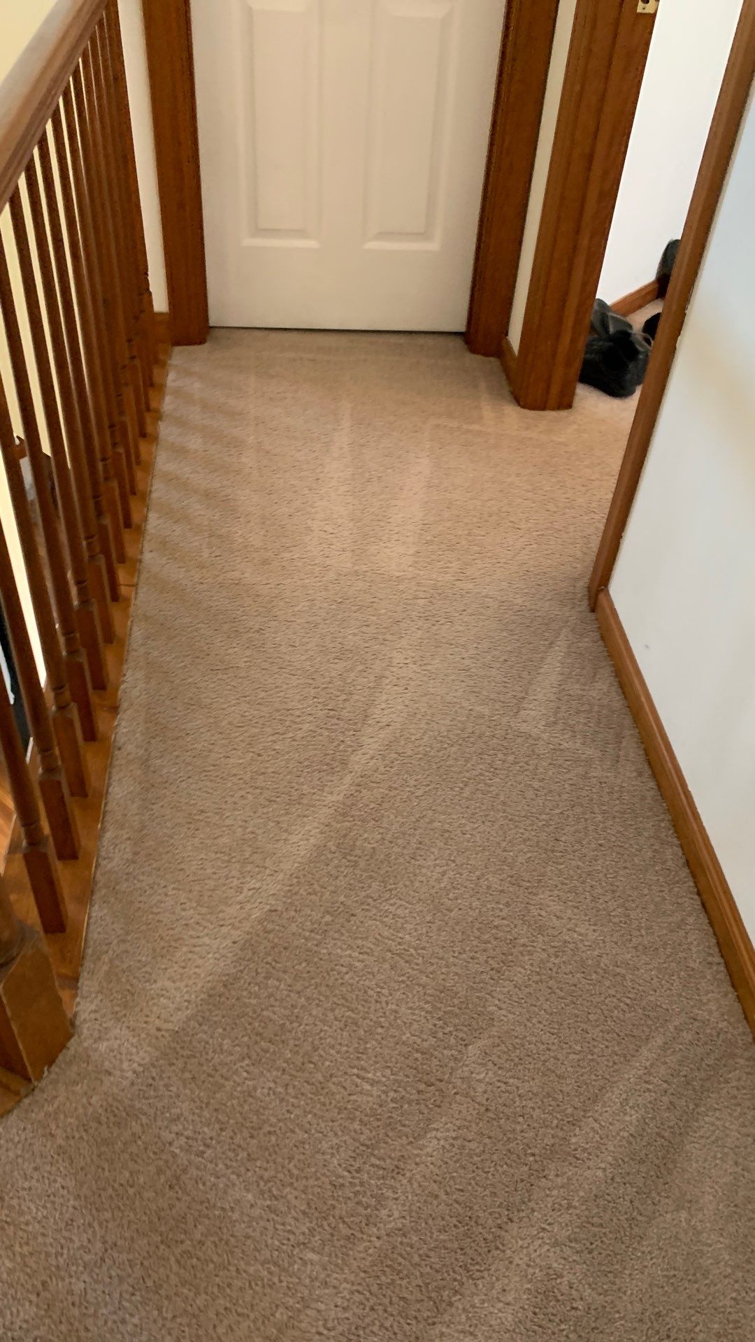 %Inlet Carpet Care%