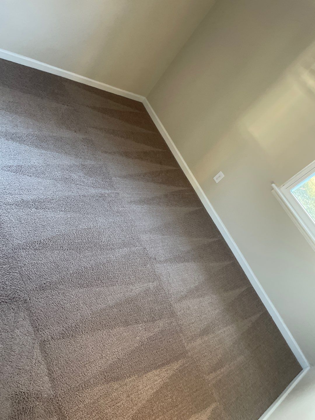 %Inlet Carpet Care%