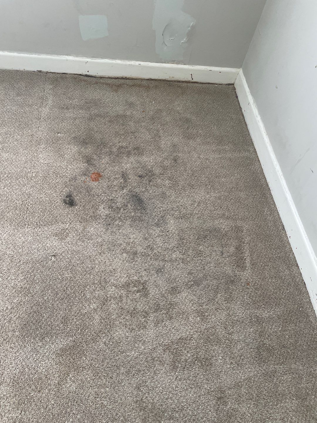 %Inlet Carpet Care%