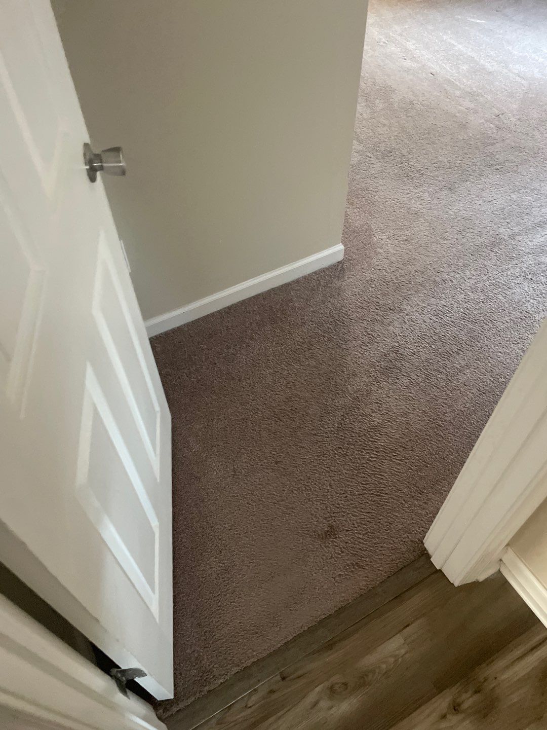 %Inlet Carpet Care%