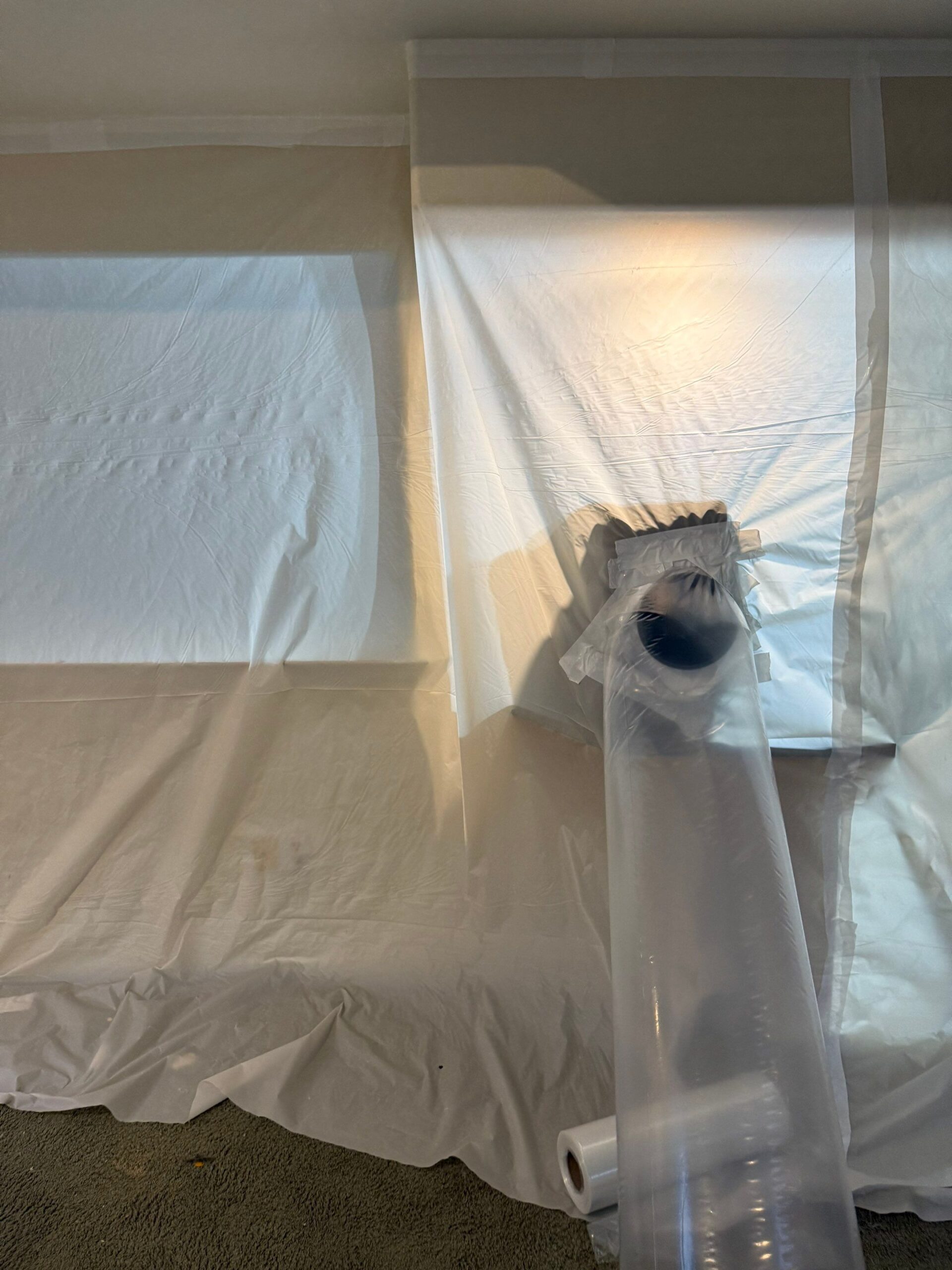 %Inlet Carpet Care%