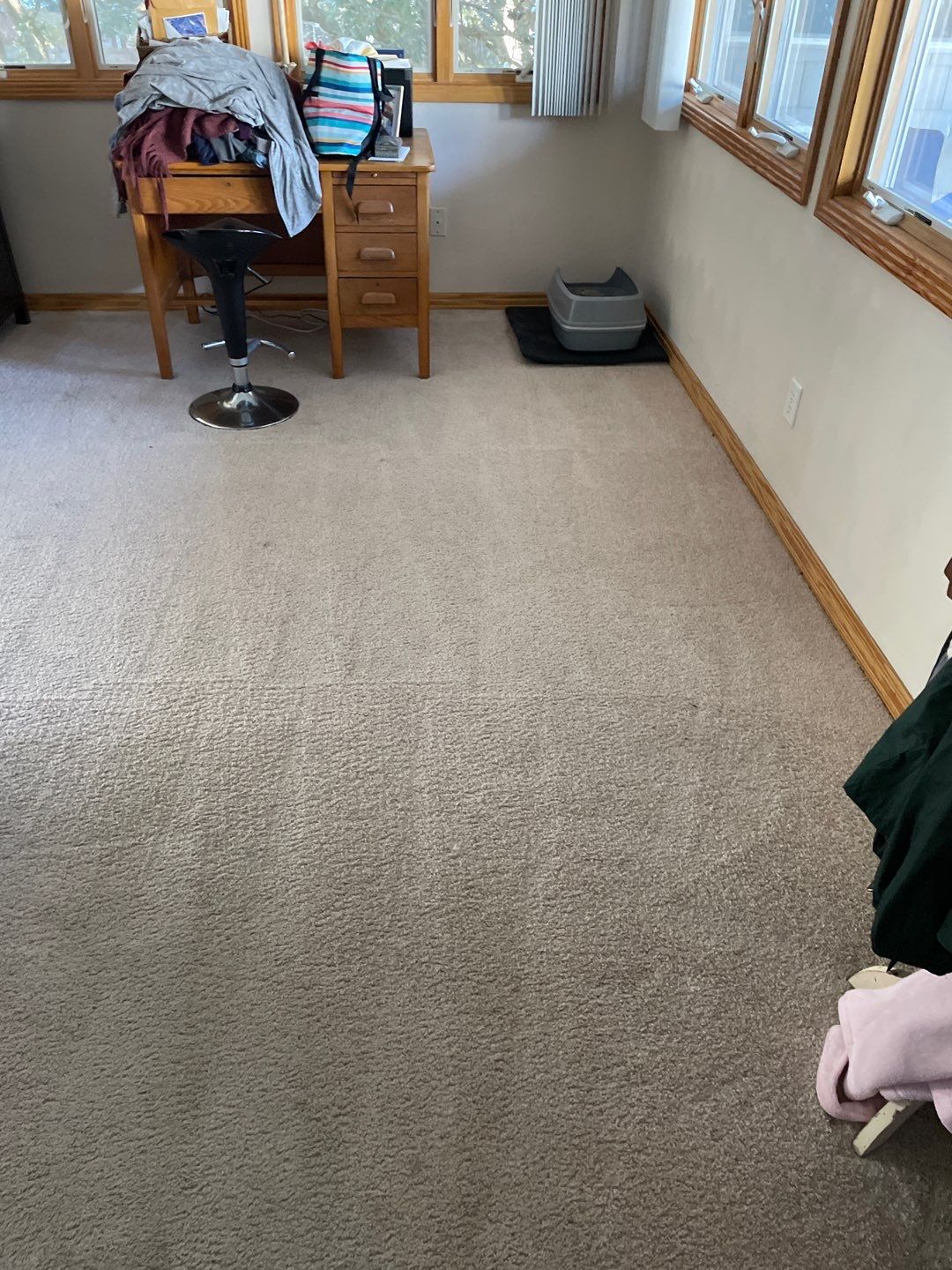 %Inlet Carpet Care%
