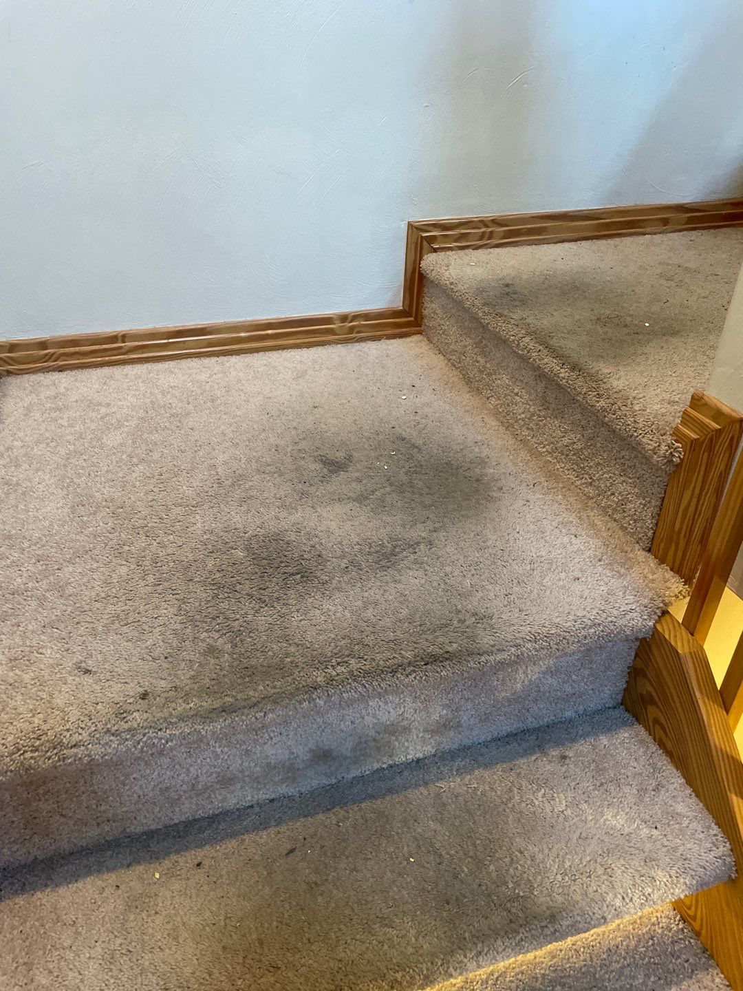 %Inlet Carpet Care%
