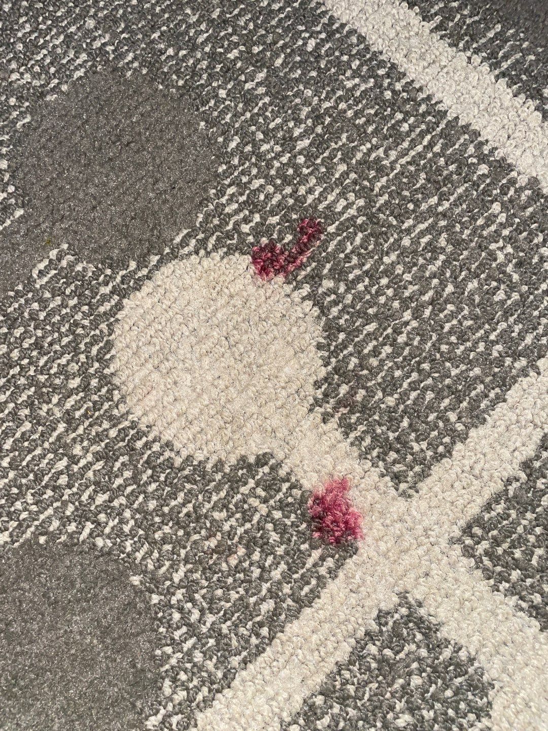 %Inlet Carpet Care%