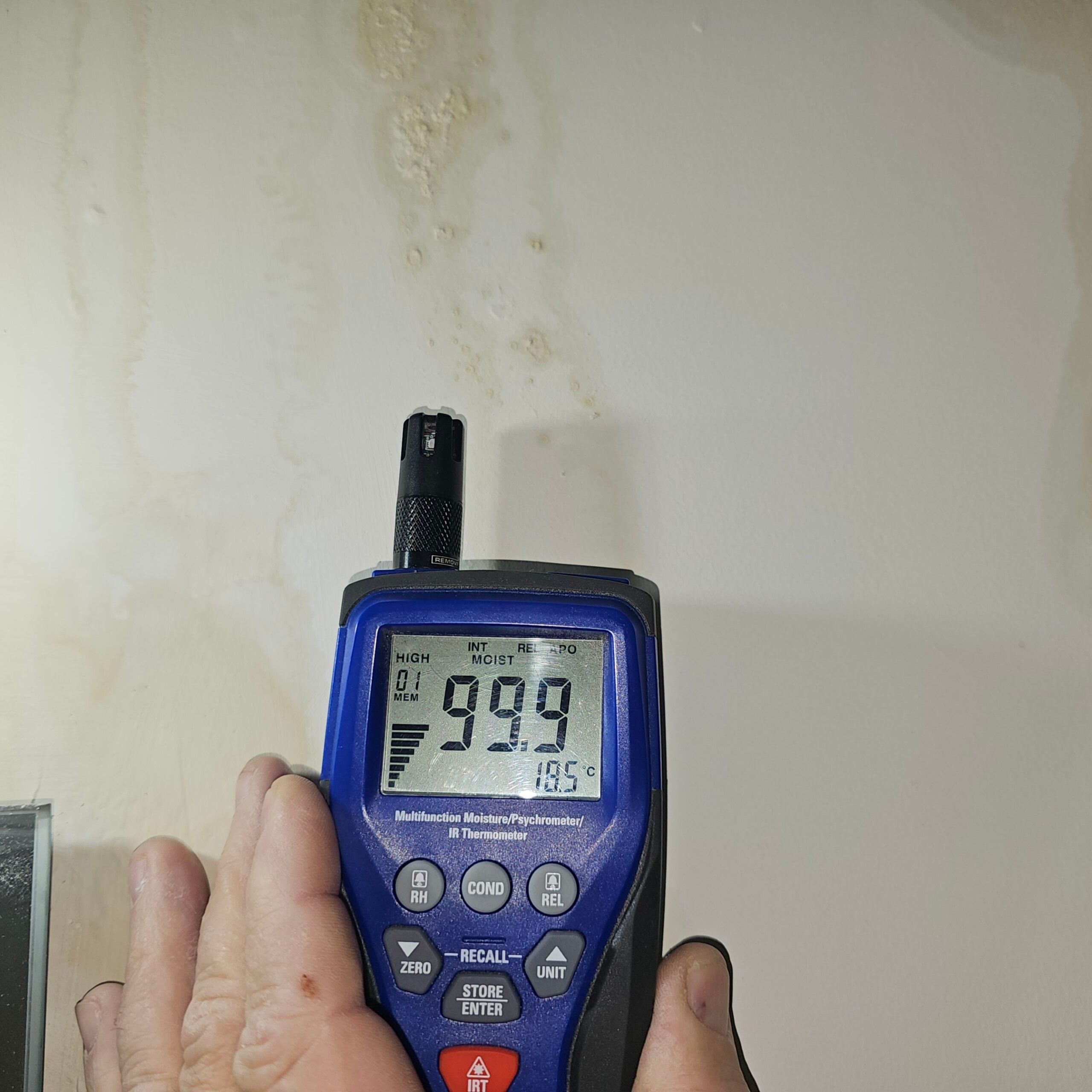 %Inlet Carpet Care%
