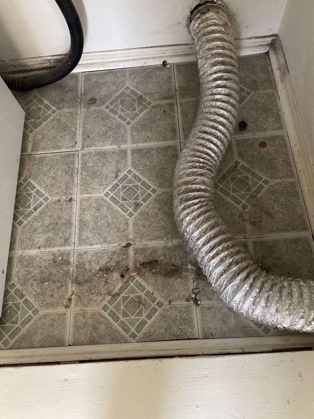 %Inlet Carpet Care%