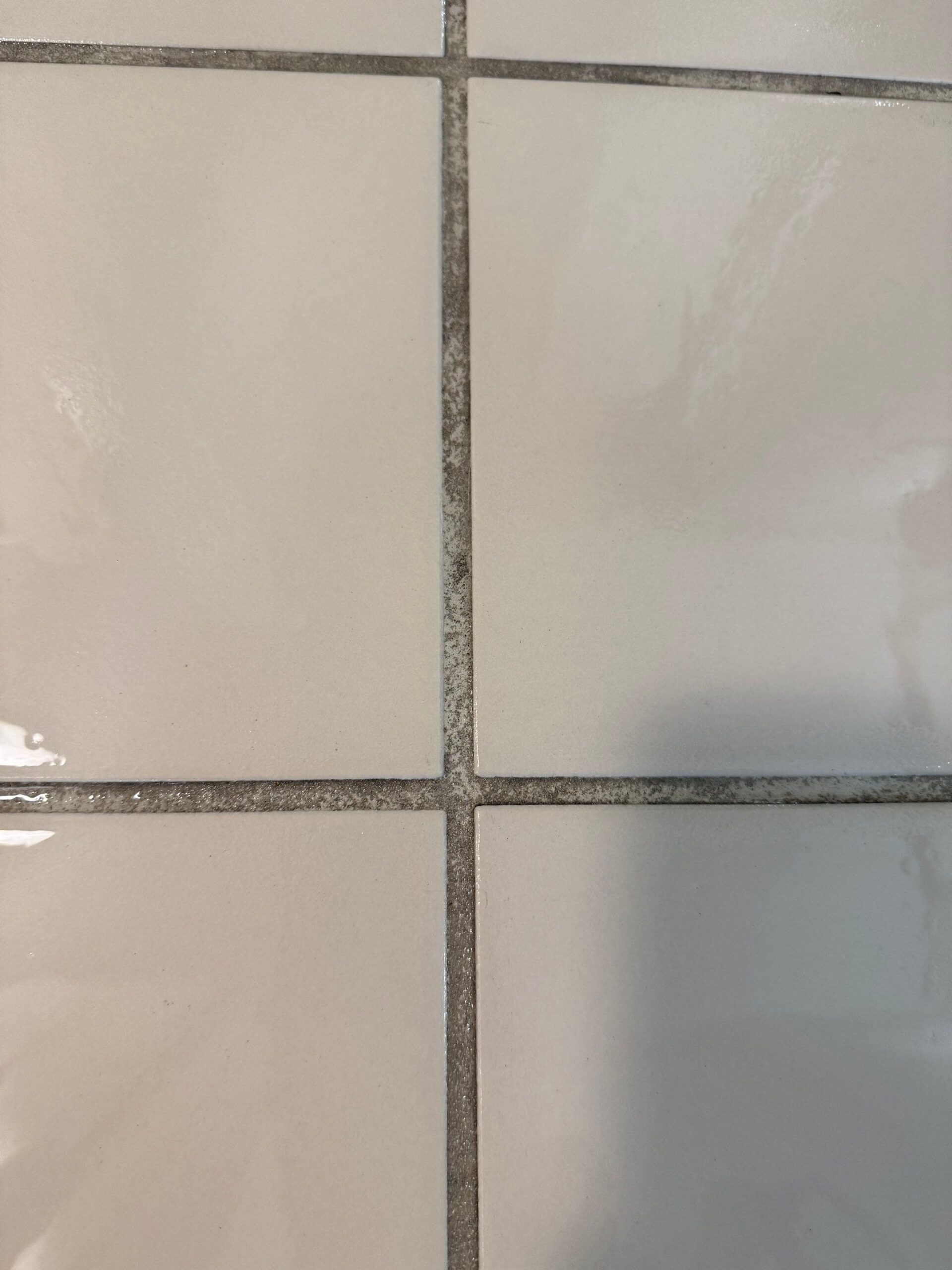 %Inlet Carpet Care%
