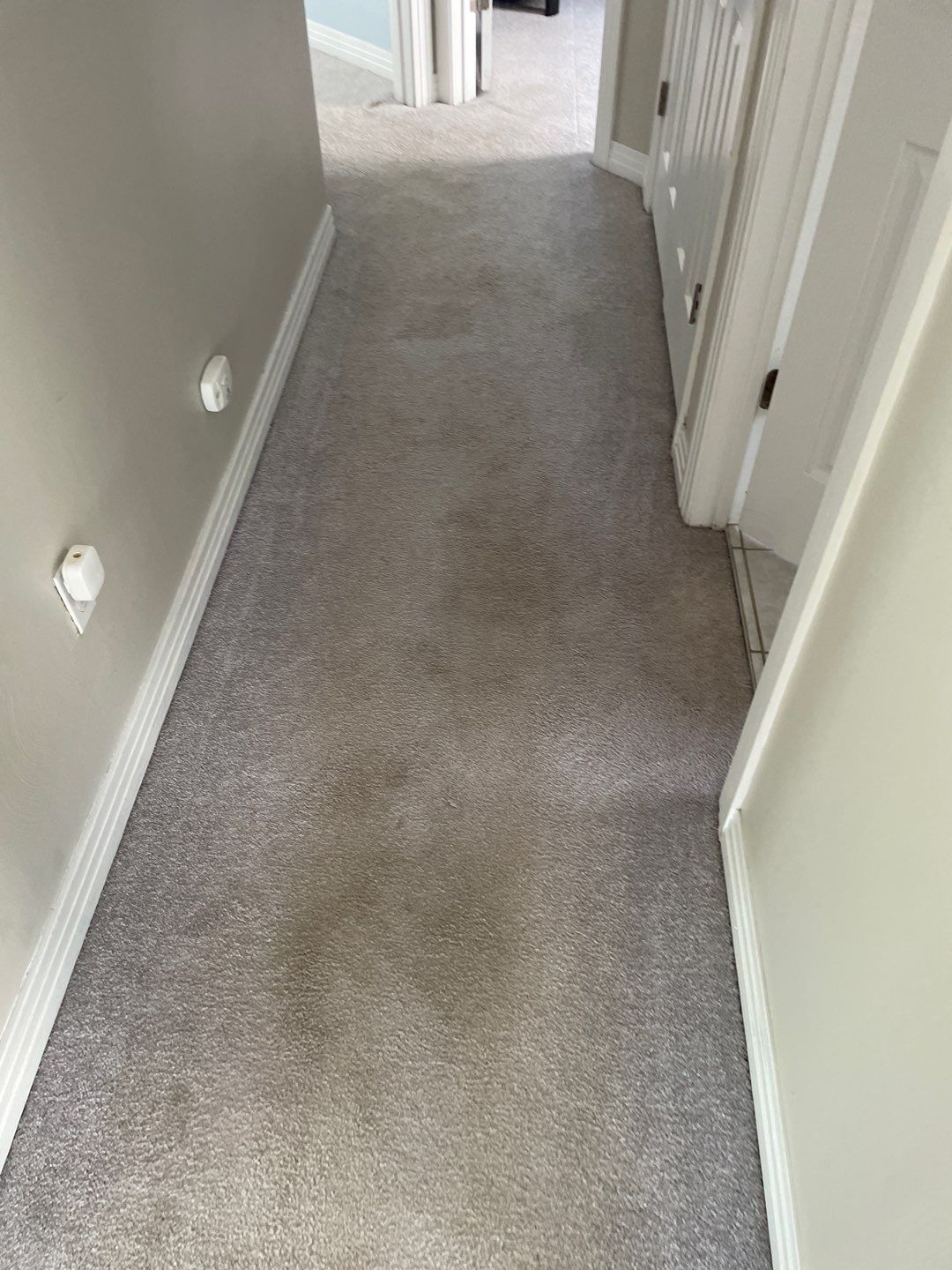 %Inlet Carpet Care%