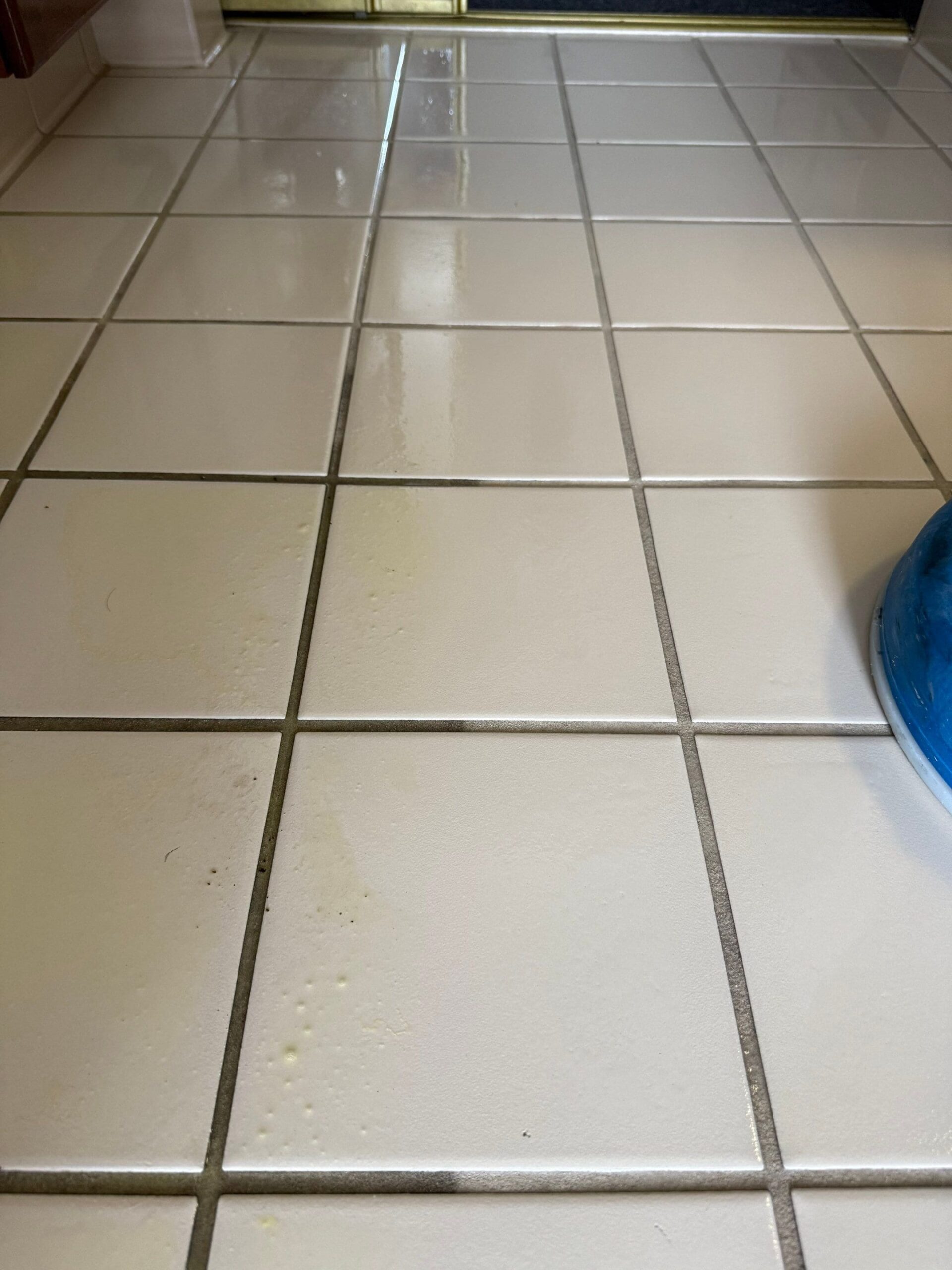 %Inlet Carpet Care%